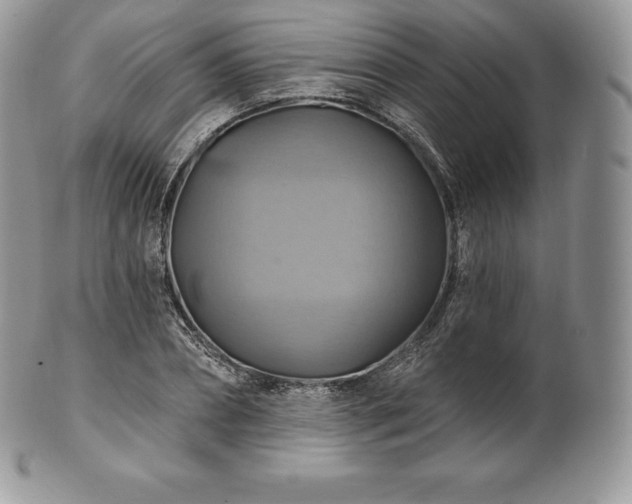 X0000101160882200807071155