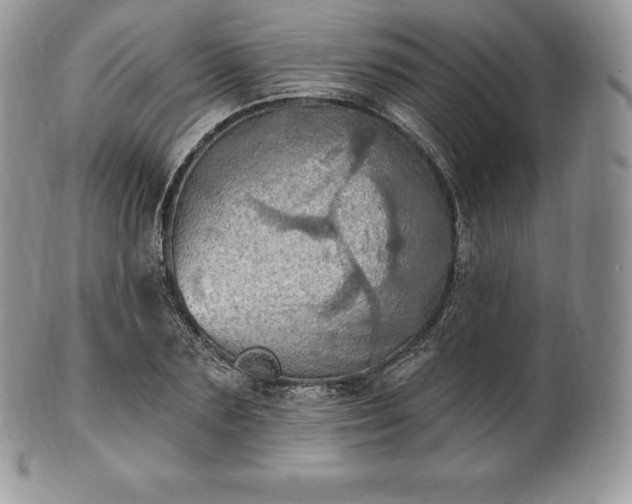 X0000101160883200807071155