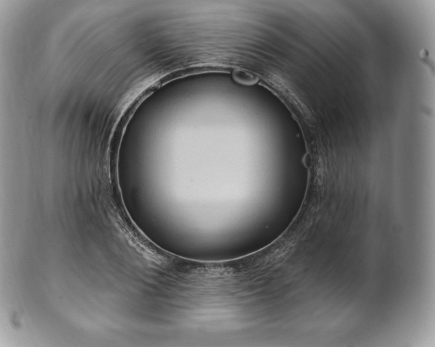 X0000101160884200807071155