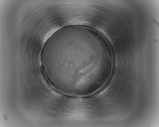 X0000101160885200807071155