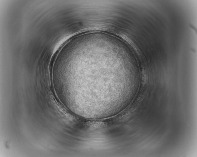 X0000101160886200807071155