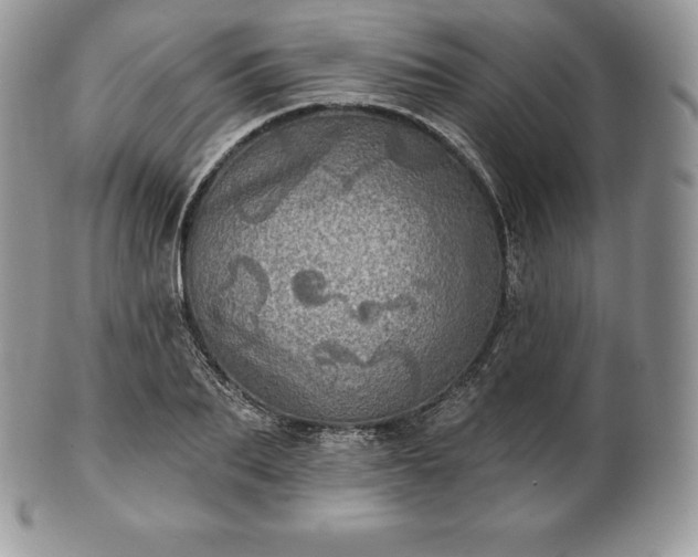 X0000101160887200807071155