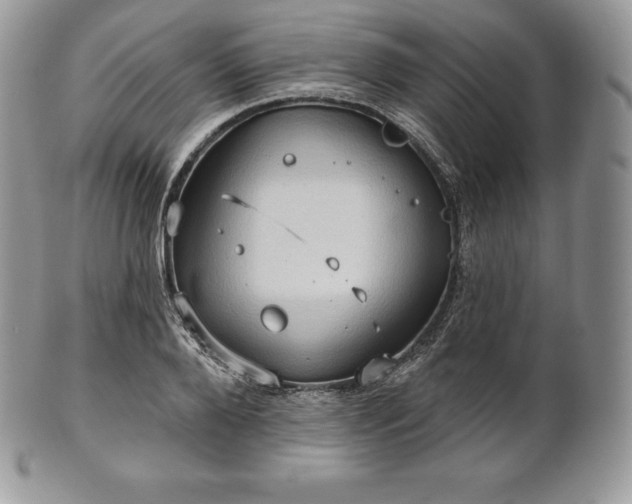 X0000101160888200807071155