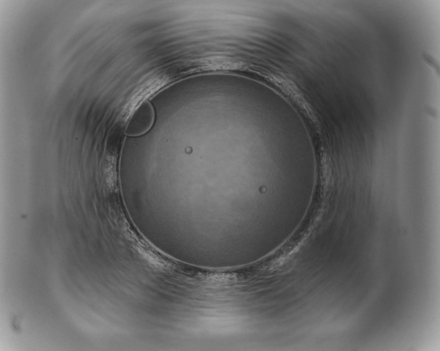 X0000101160889200807071155