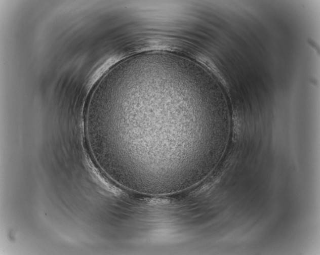 X0000101160890200807071155