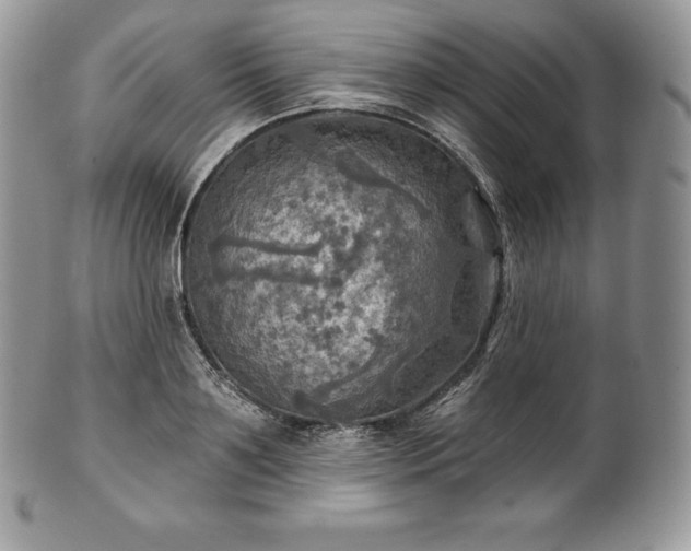 X0000101160891200807071155