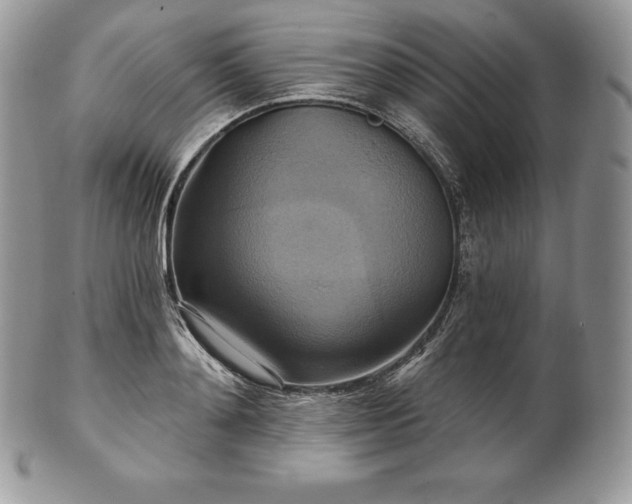 X0000101160892200807071155