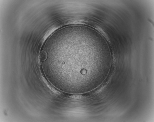 X0000101160893200807071155