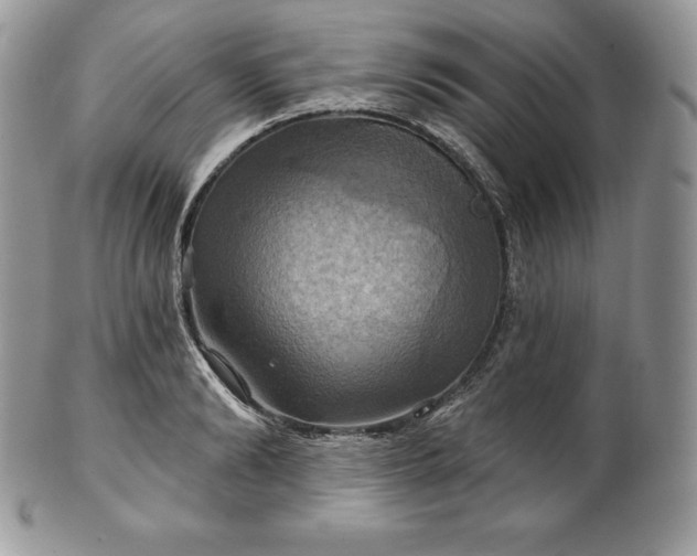 X0000101160894200807071155