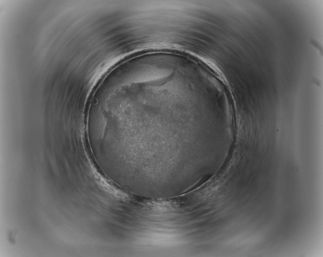 X0000101160895200807071155