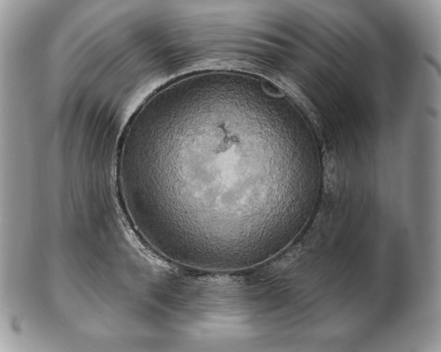 X0000101160896200807071155