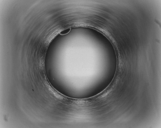 X0000101160897200807071155