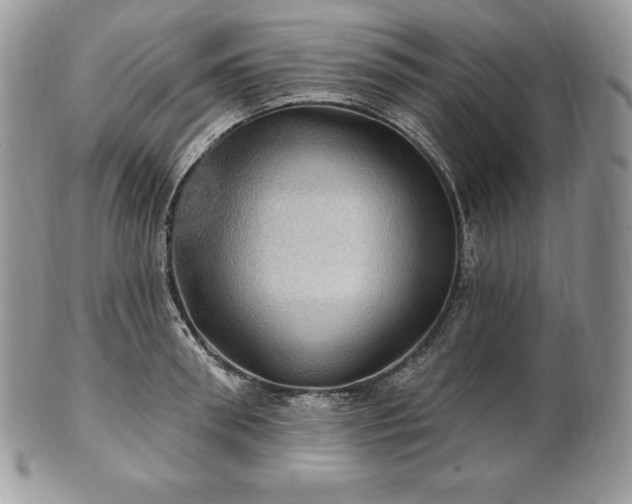 X0000101160898200807071155