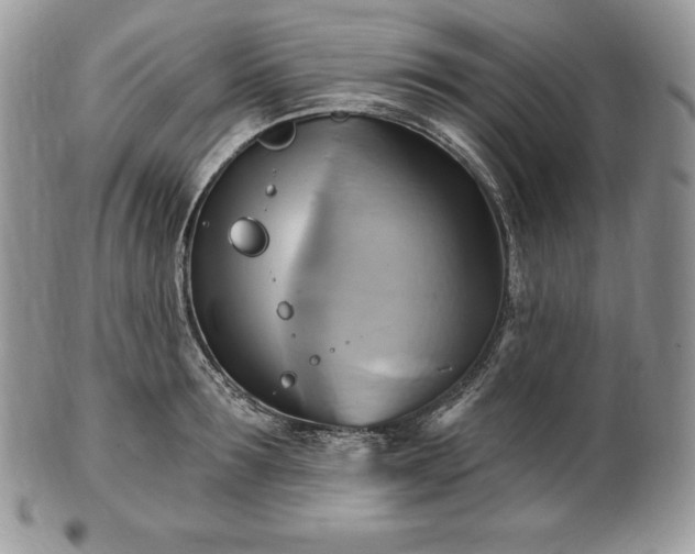 X0000101160899200807071155