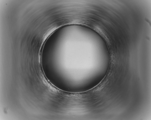 X0000101160900200807071155