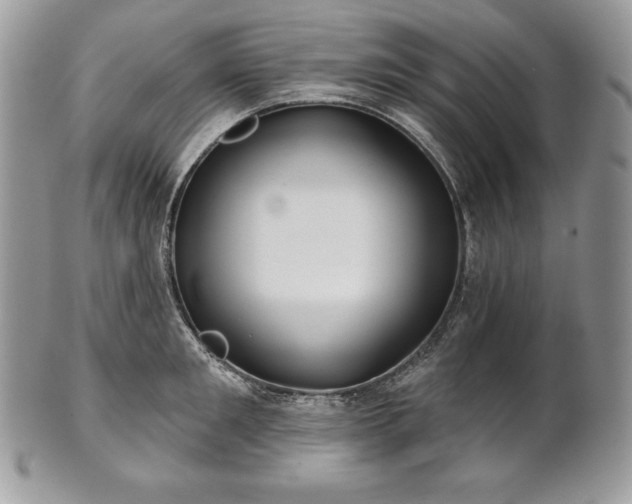 X0000101160901200807071155