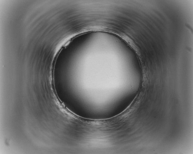 X0000101160904200807071155