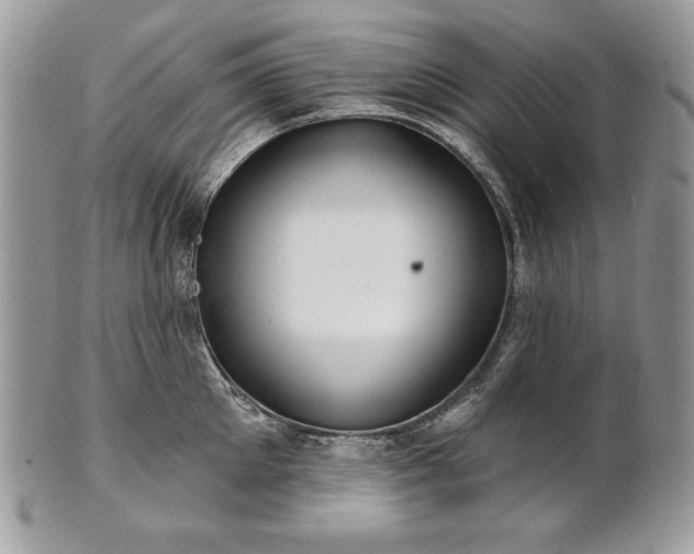 X0000101160905200807071155