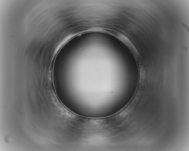 X0000101160908200807071155