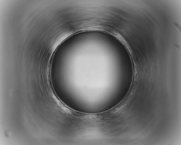 X0000101160909200807071155