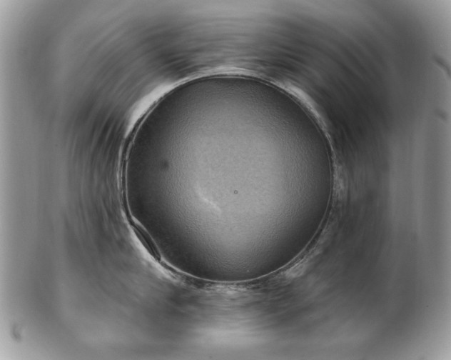 X0000101160910200807071155