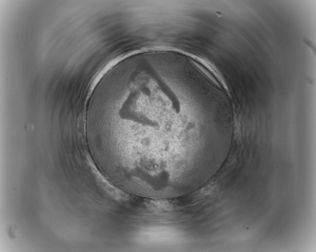 X0000101160911200807071155