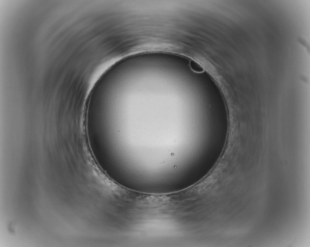 X0000101160912200807071155