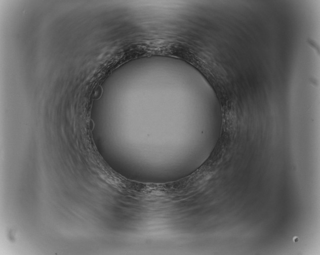 X0000101160913200807071154