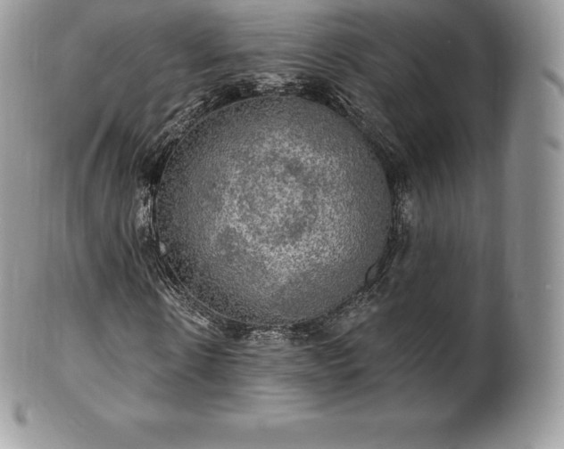 X0000101160914200807071154