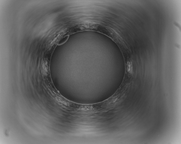 X0000101160915200807071154