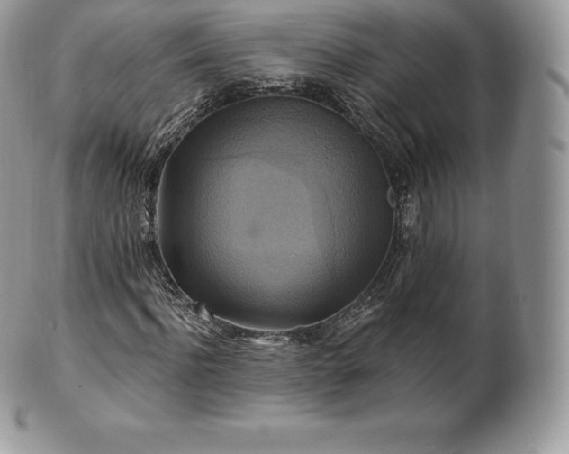 X0000101160916200807071154