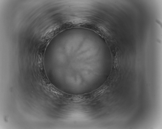 X0000101160917200807071154