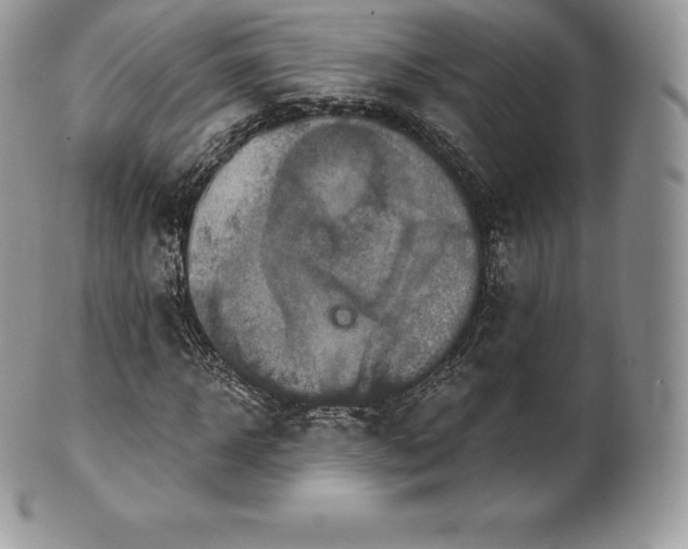 X0000101160918200807071154