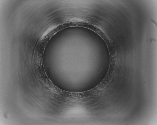 X0000101160919200807071154