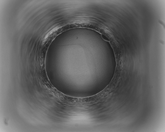 X0000101160920200807071154