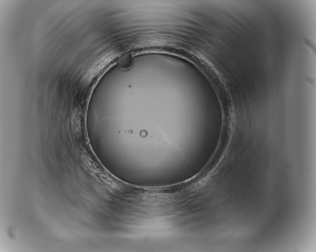 X0000101160921200807071154