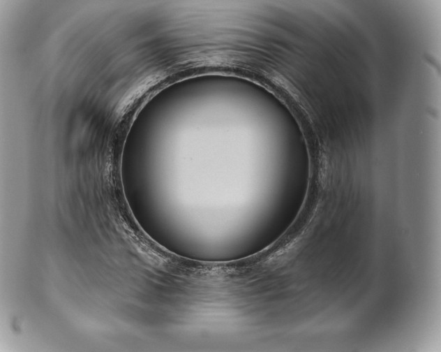 X0000101160922200807071154