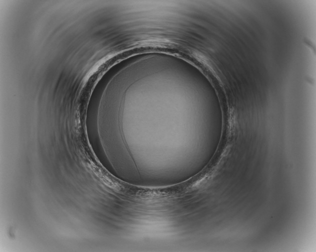 X0000101160923200807071154