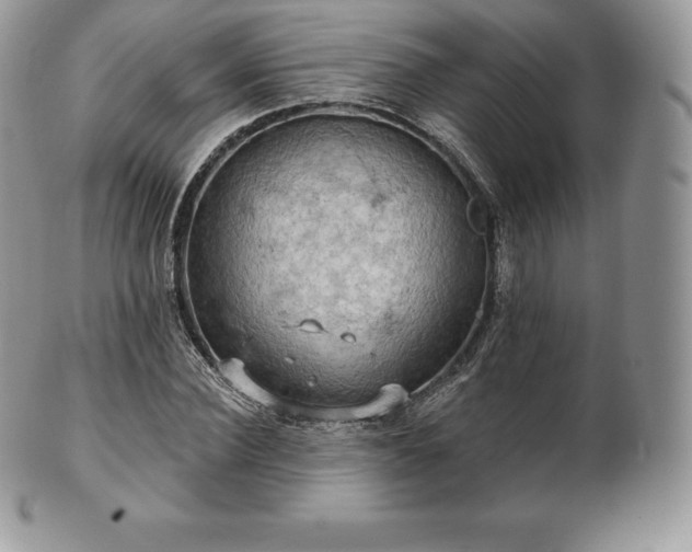 X0000101160924200807071154