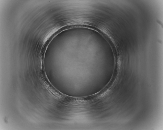 X0000101160925200807071154