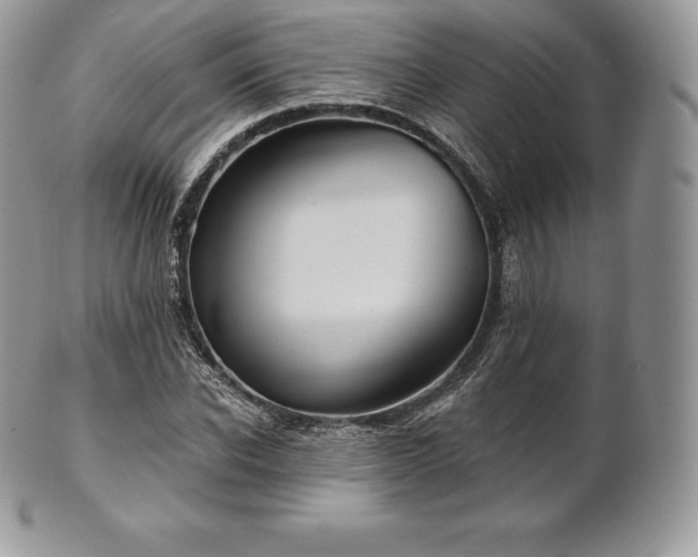 X0000101160926200807071154