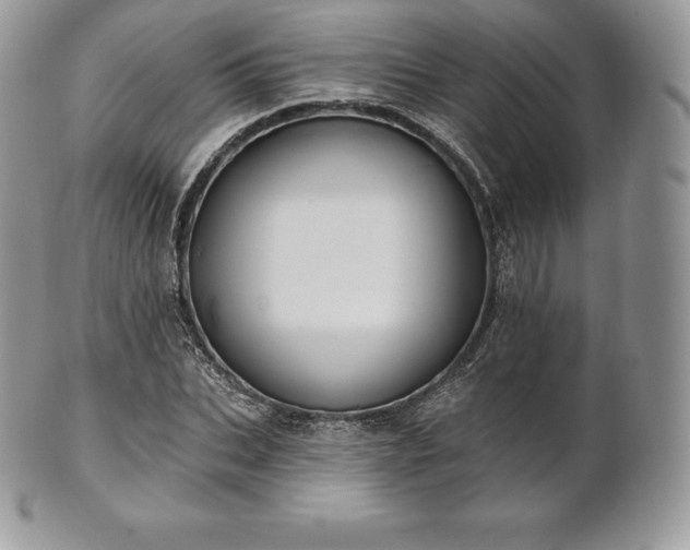 X0000101160927200807071154