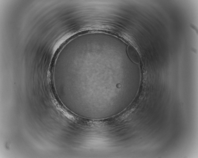 X0000101160928200807071154