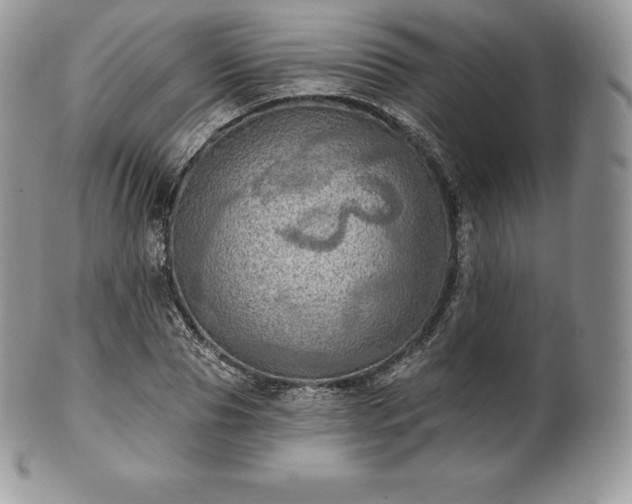 X0000101160929200807071154