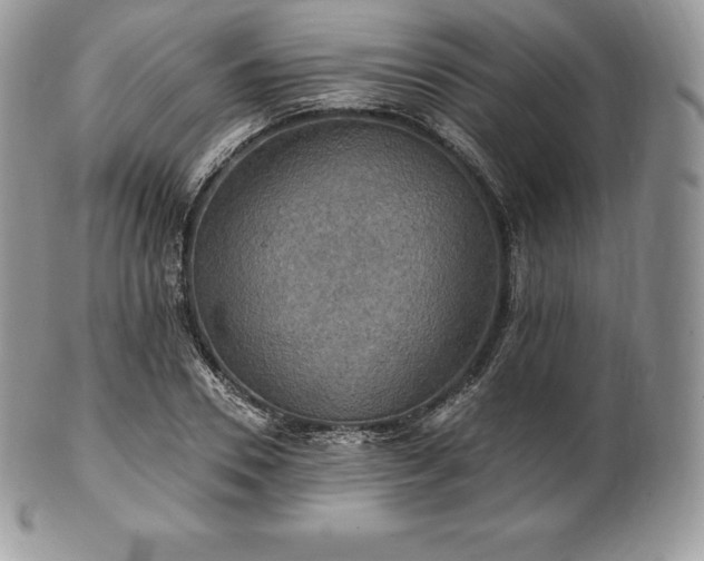 X0000101160930200807071154