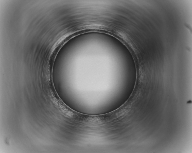 X0000101160931200807071154