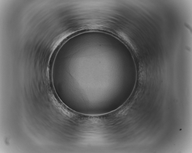 X0000101160932200807071154