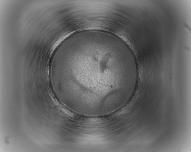 X0000101160933200807071154