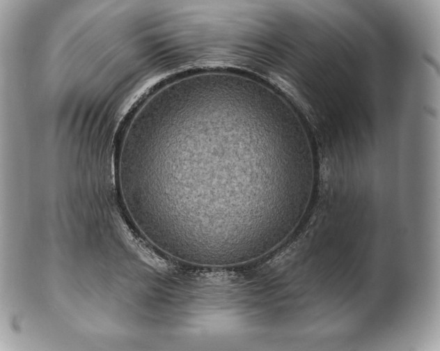 X0000101160934200807071154