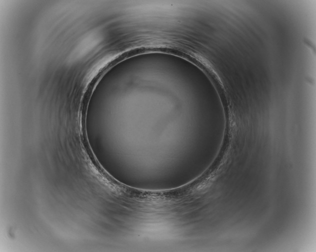 X0000101160935200807071154